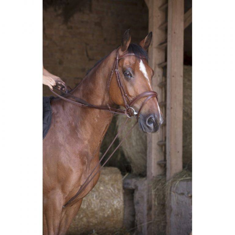 Rênes Fendues En Cuir Hermann Oak Pour Cheval - Harnais Cowboy USA