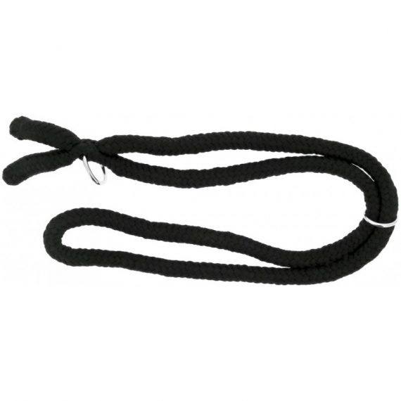 Collier ethologique Norton – Image 4