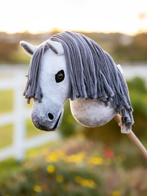 Hobby horse LeMieux – Image 11