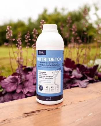 NUTRI DETOX